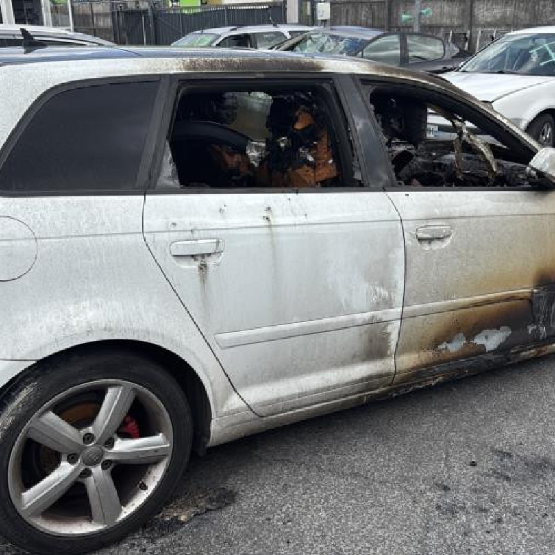 Porte arriere gauche AUDI A3 2 Photo n°20