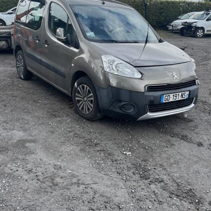 Bouton de warning PEUGEOT PARTNER 2 Photo n°6