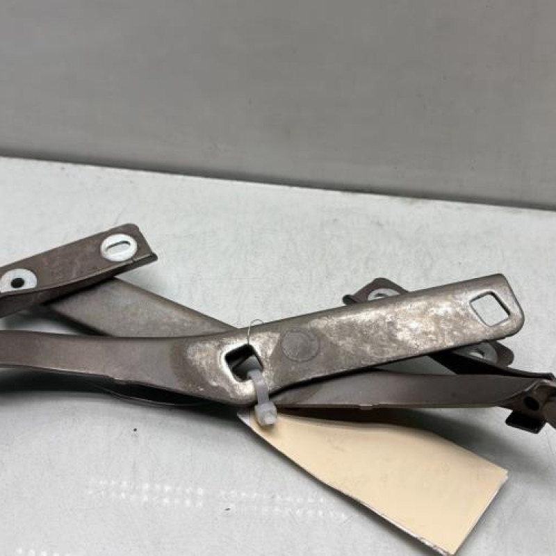 Charniere de capot PEUGEOT PARTNER 2 Photo n°2