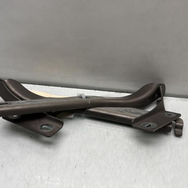 Charniere de capot PEUGEOT PARTNER 2 Photo n°3