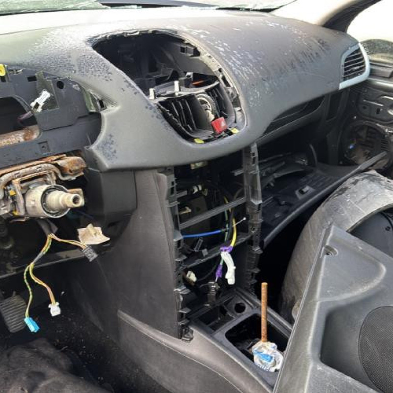 Face avant PEUGEOT 207 Photo n°15