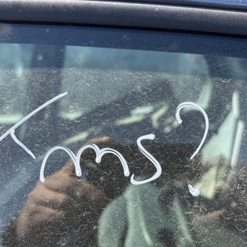 Poignee porte arriere gauche CITROEN XSARA PICASSO Photo n°19