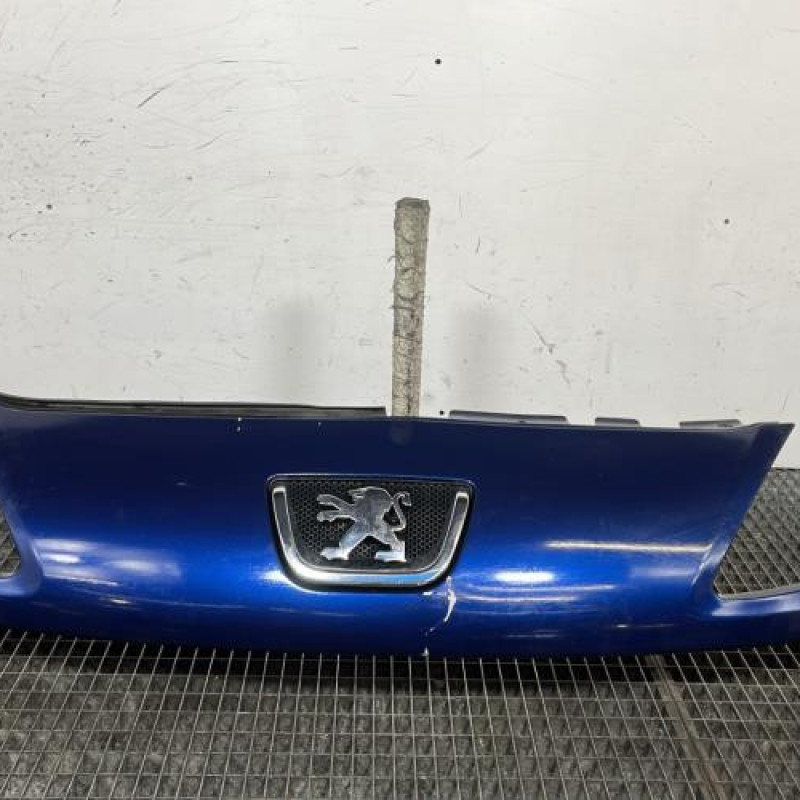 Calandre PEUGEOT 1007 Photo n°1