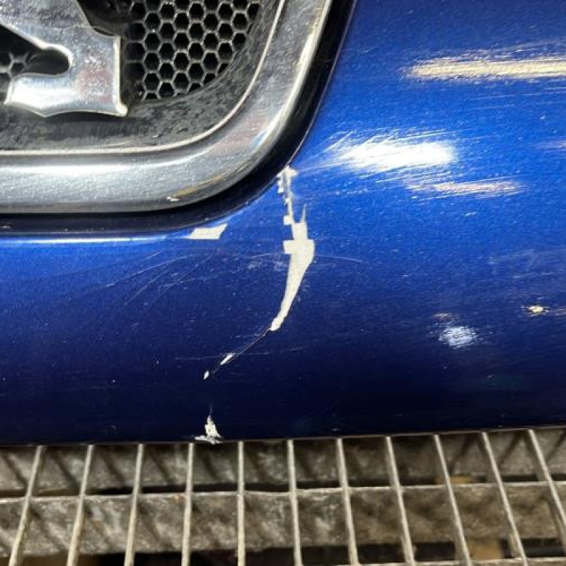 Calandre PEUGEOT 1007 Photo n°3