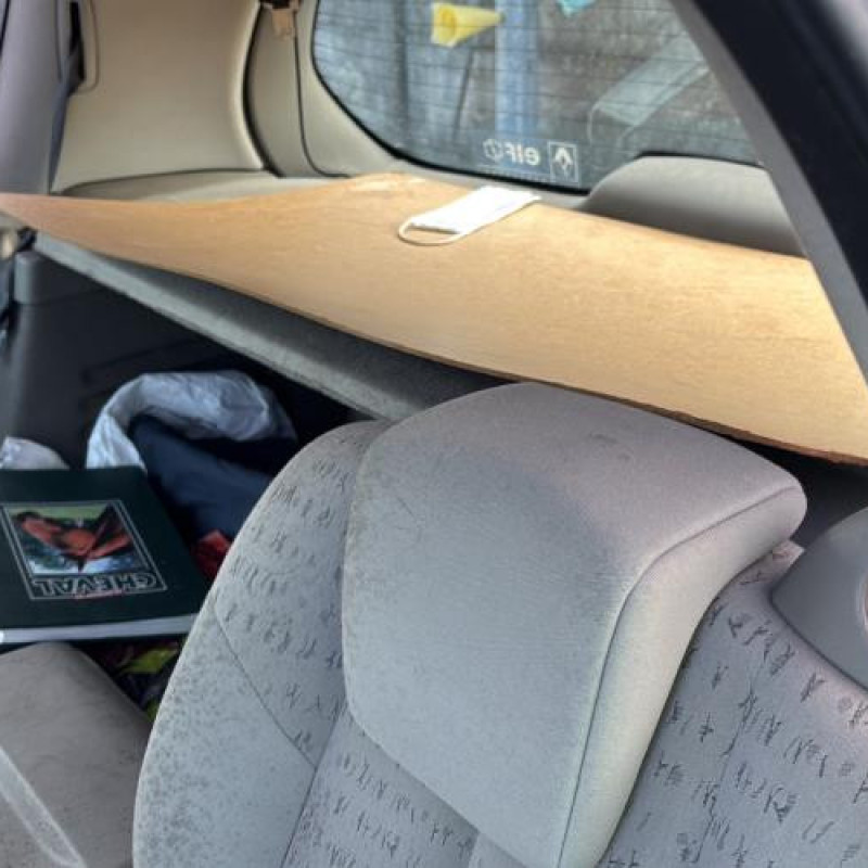 Cremaillere assistee RENAULT SCENIC 2 Photo n°14