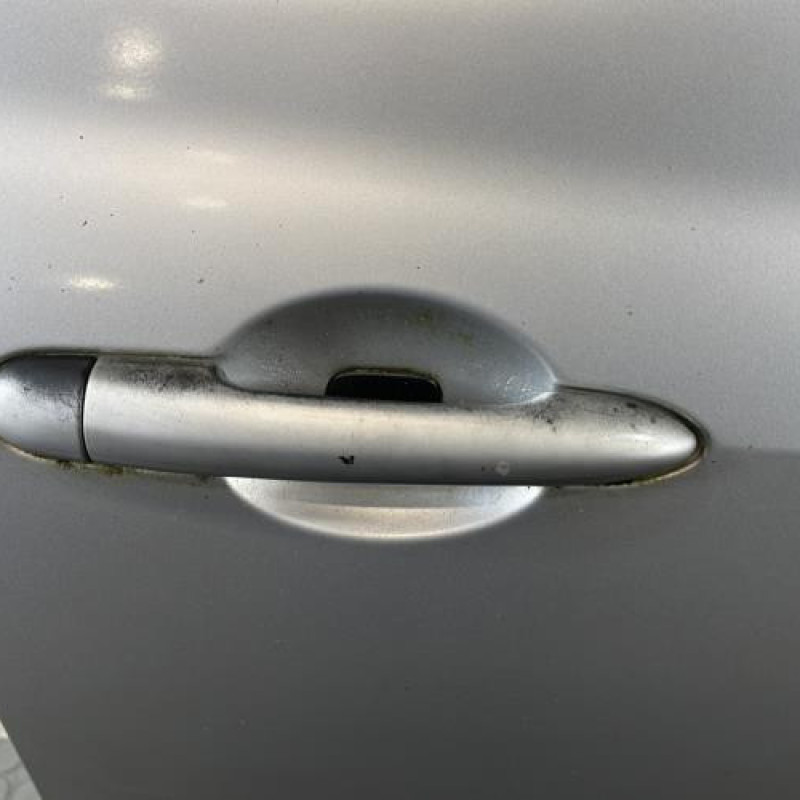 Porte avant droit RENAULT CLIO 3 Photo n°1