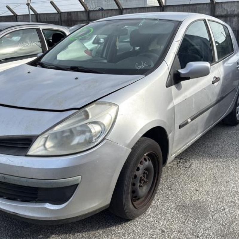 Porte avant droit RENAULT CLIO 3 Photo n°8
