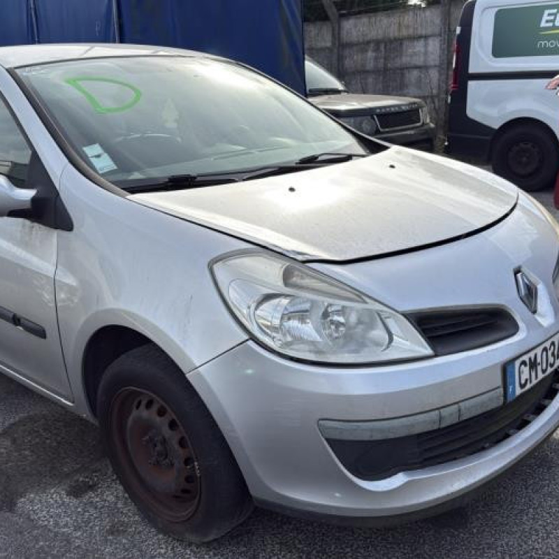 Porte avant droit RENAULT CLIO 3 Photo n°9