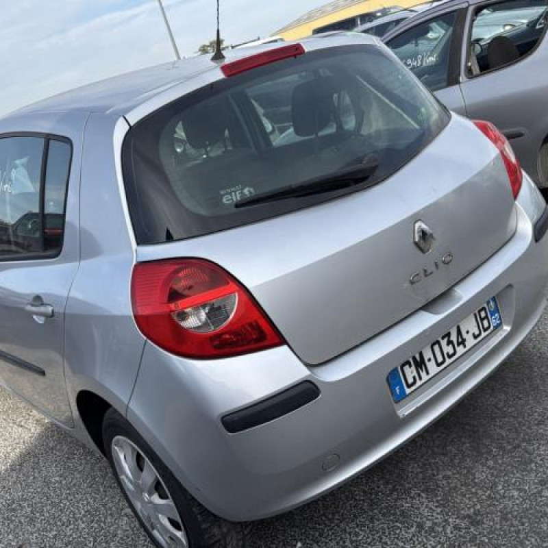 Porte avant droit RENAULT CLIO 3 Photo n°11
