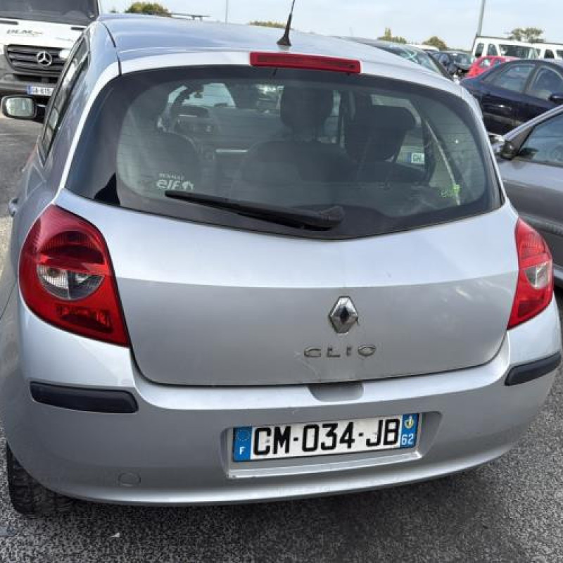 Porte avant droit RENAULT CLIO 3 Photo n°12