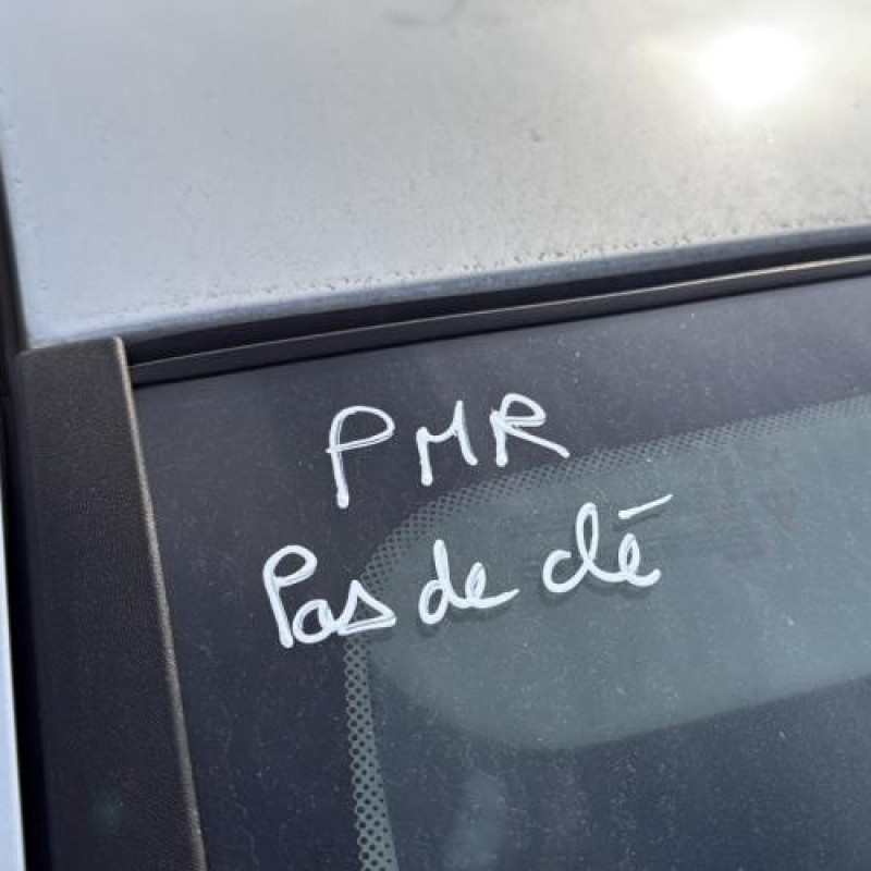 Porte avant droit RENAULT CLIO 3 Photo n°17