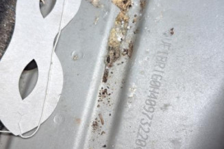 Porte avant droit RENAULT CLIO 3