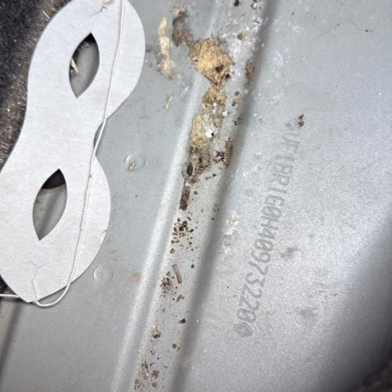 Porte avant droit RENAULT CLIO 3 Photo n°18