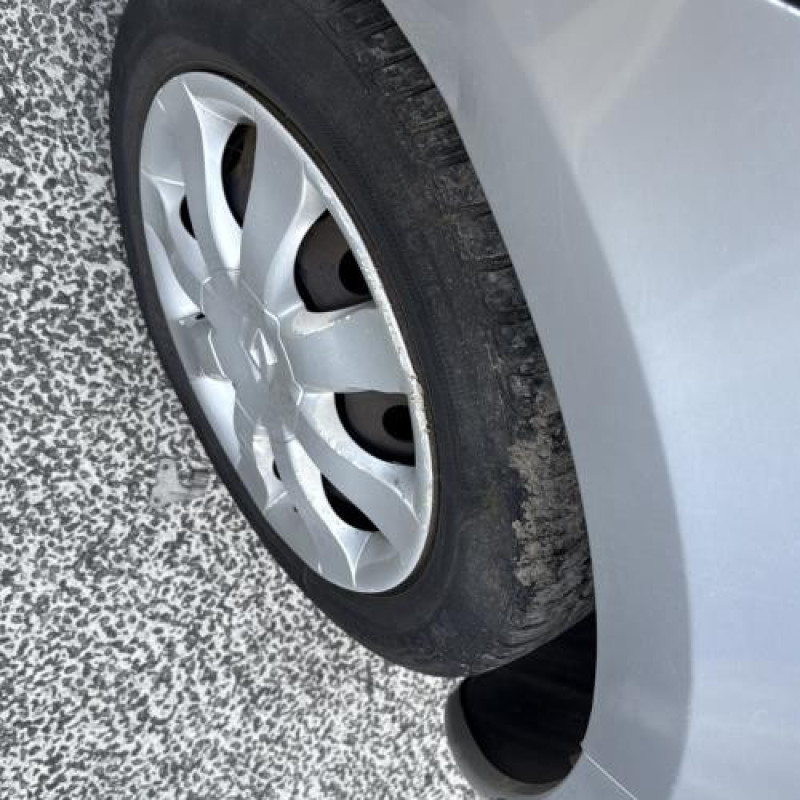 Porte avant droit RENAULT CLIO 3 Photo n°20