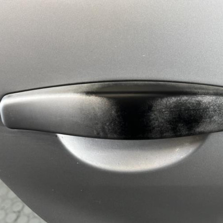 Porte arriere droit DACIA SANDERO 1