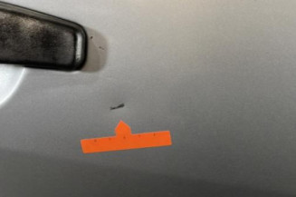 Porte arriere droit DACIA SANDERO 1