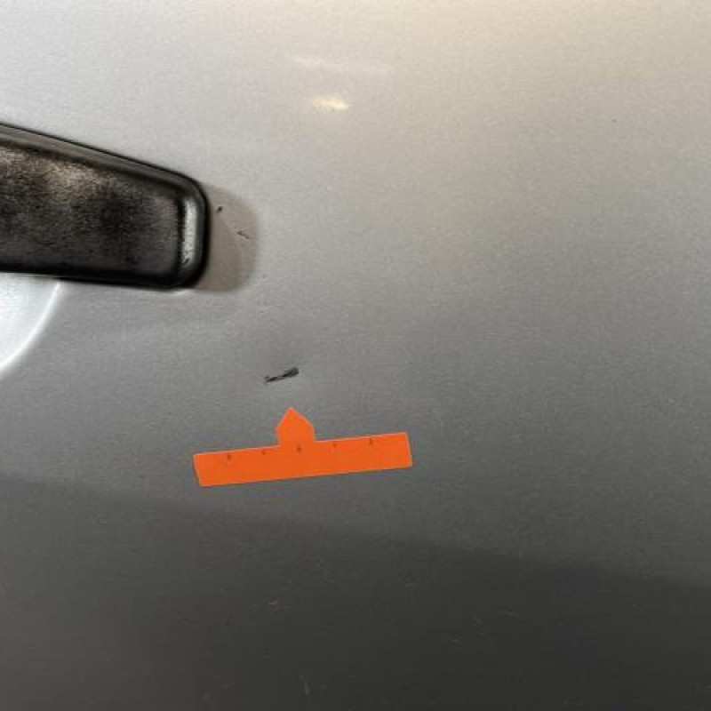 Porte arriere droit DACIA SANDERO 1 Photo n°4