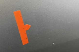 Porte arriere droit DACIA SANDERO 1