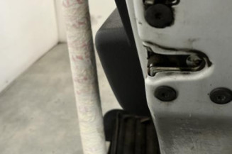 Porte arriere droit DACIA SANDERO 1