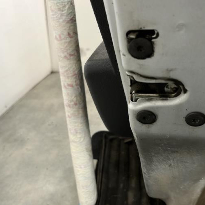 Porte arriere droit DACIA SANDERO 1 Photo n°6