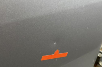 Porte arriere droit DACIA SANDERO 1