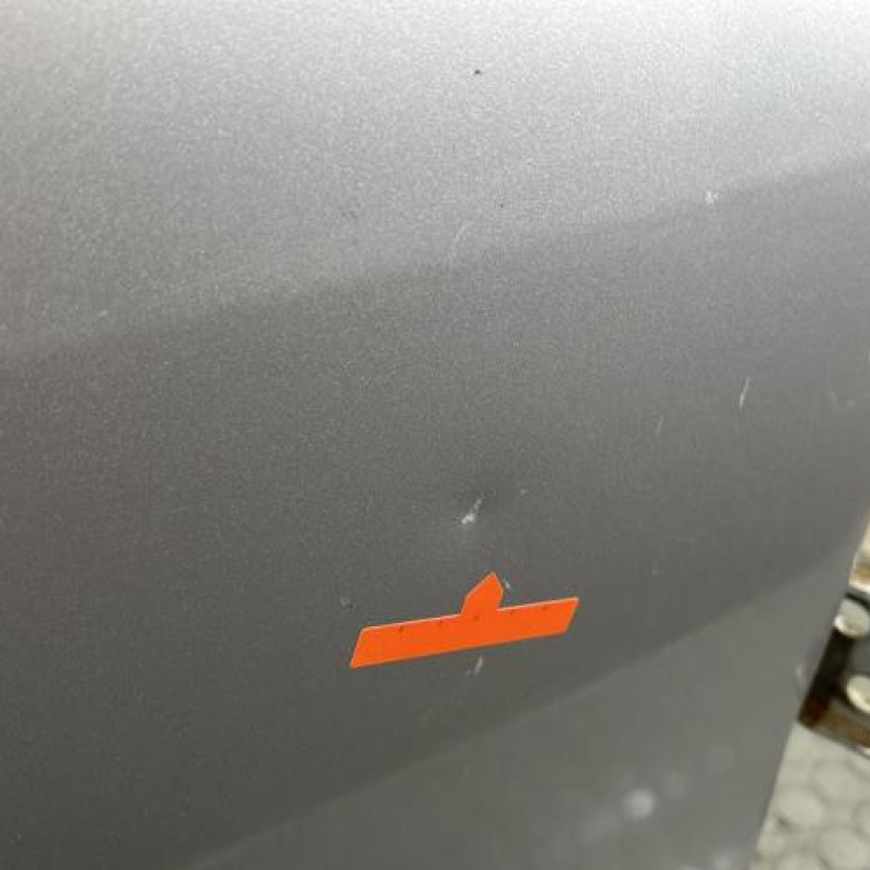 Porte arriere droit DACIA SANDERO 1 Photo n°7