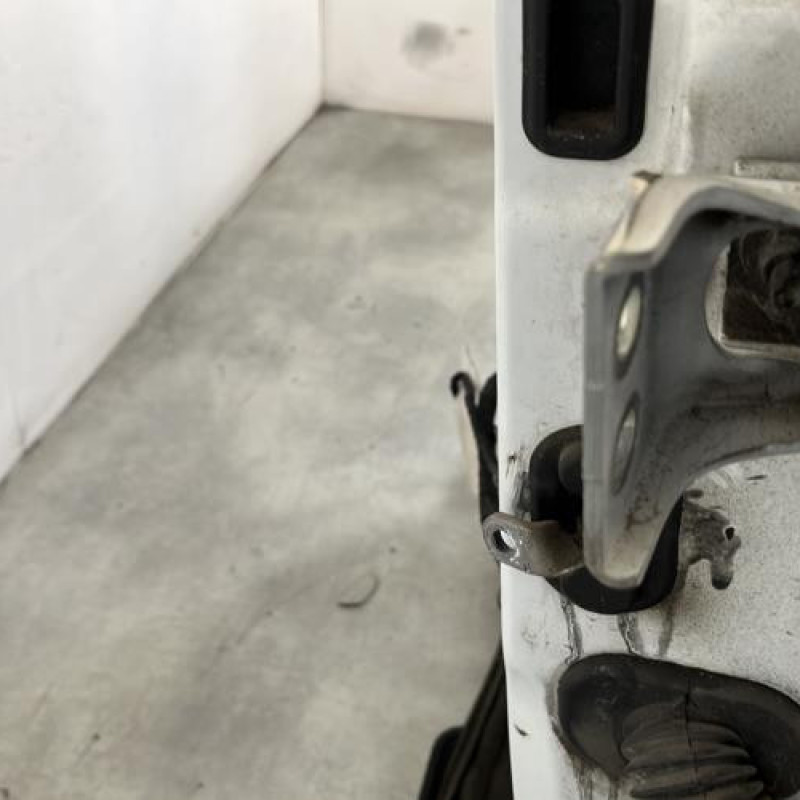 Porte avant gauche RENAULT KANGOO 2 Photo n°3