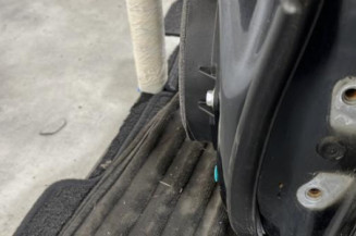 Porte arriere gauche LEXUS IS 2