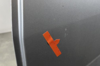 Porte arriere gauche DACIA SANDERO 1