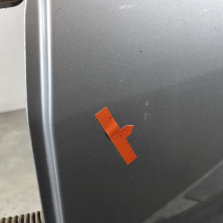Porte arriere gauche DACIA SANDERO 1