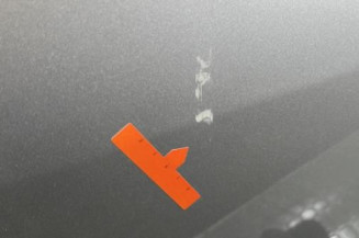 Porte arriere gauche DACIA SANDERO 1