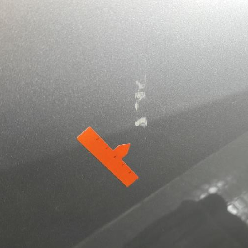 Porte arriere gauche DACIA SANDERO 1 Photo n°3