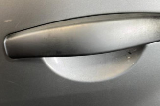 Porte arriere gauche DACIA SANDERO 1