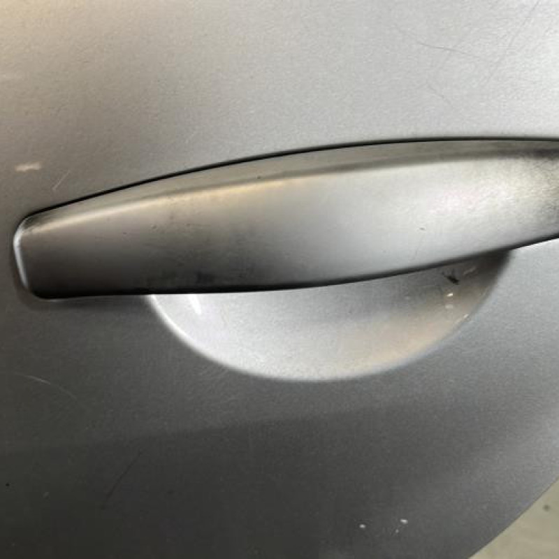 Porte arriere gauche DACIA SANDERO 1 Photo n°4