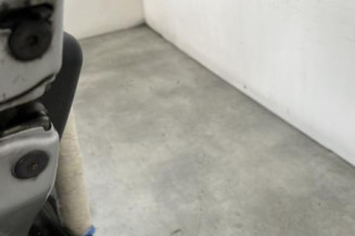 Porte arriere gauche DACIA SANDERO 1