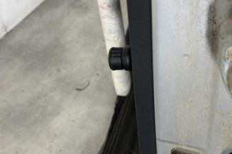 Porte arriere gauche DACIA SANDERO 1