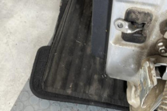 Porte arriere gauche DACIA SANDERO 1