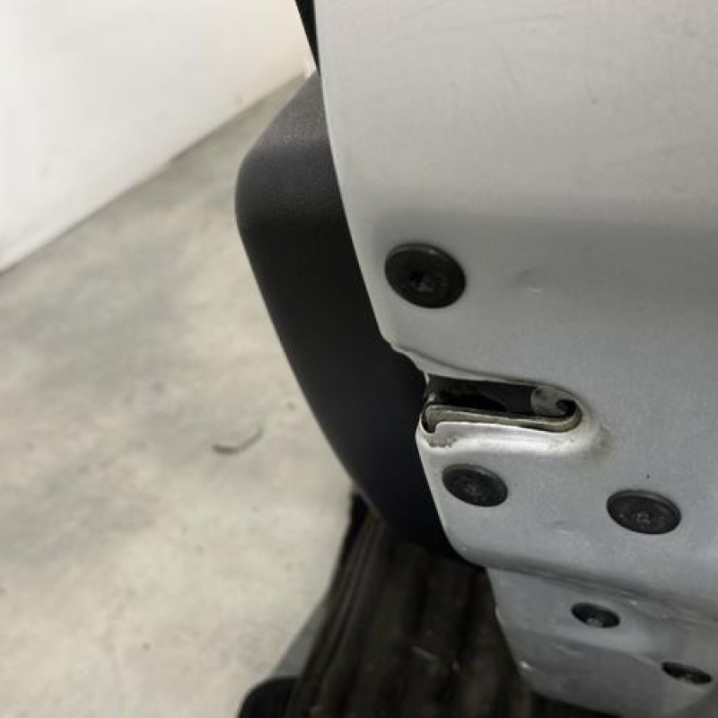 Porte avant droit DACIA SANDERO 1 Photo n°4