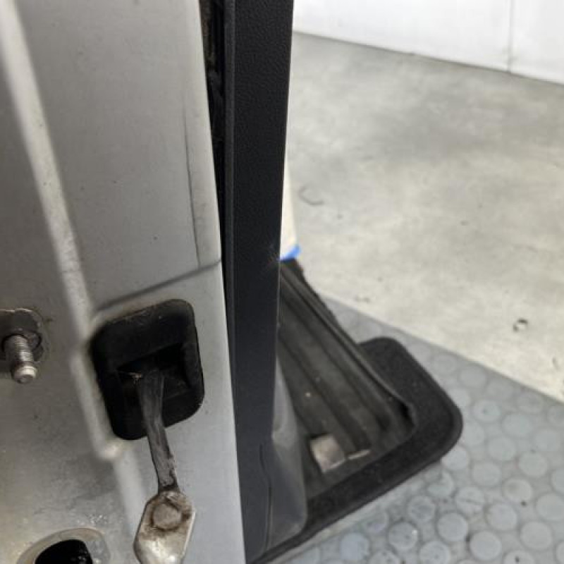 Porte avant droit DACIA SANDERO 1 Photo n°5