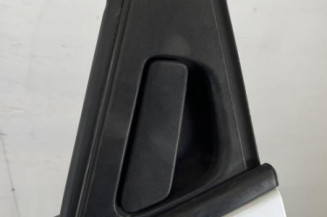 Porte arriere gauche RENAULT CLIO 4