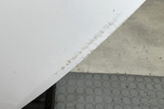 Porte arriere gauche RENAULT CLIO 4