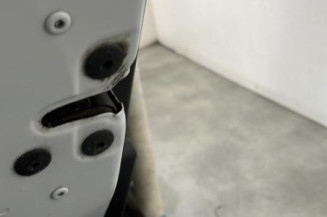 Porte arriere gauche RENAULT CLIO 4