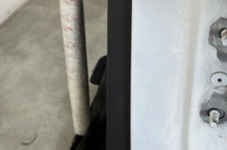 Porte arriere gauche RENAULT CLIO 4