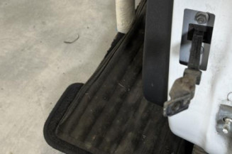 Porte arriere gauche RENAULT CLIO 4