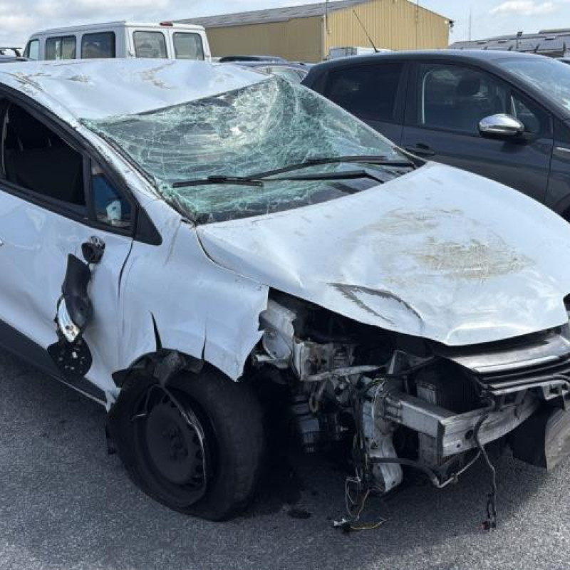 Porte arriere gauche RENAULT CLIO 4 Photo n°10