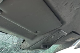 Porte arriere gauche RENAULT CLIO 4