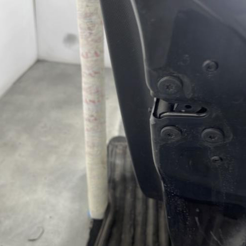 Porte arriere droit RENAULT TWINGO 3 Photo n°3