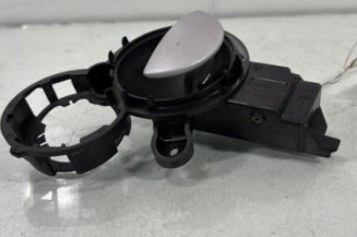 Poignee interieur avant gauche MINI MINI 1 R50/R53