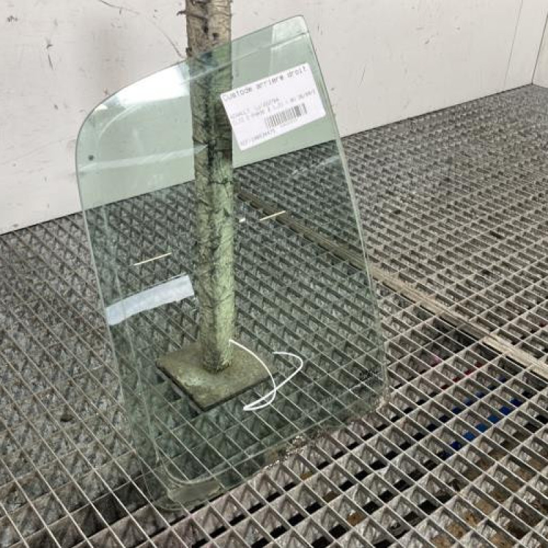 Custode arriere droit (porte) RENAULT CLIO 2 Photo n°2