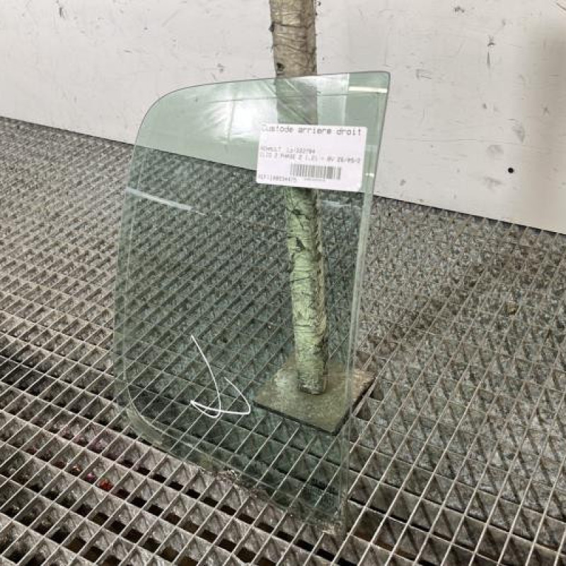 Custode arriere droit (porte) RENAULT CLIO 2 Photo n°3